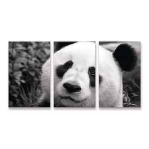 SD Smart Giant Panda 3-Piece Panel Set Unframed Photography Wall Art 19 in. x 36 in.