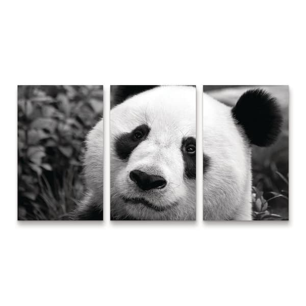 Trademark Fine Art SD Smart Giant Panda 3-Piece Panel Set Unframed Photography Wall Art 19 in. x 36 in.