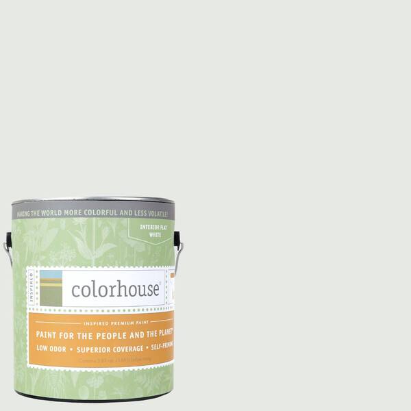 Colorhouse 1 gal. Imagine .05 Flat Interior Paint