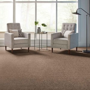 Gemini II - Stonington Beige - Brown 58 oz. Polyester Texture Installed Carpet