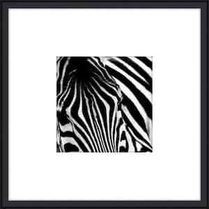 Zebra I Framed Giclee Animal Art Print 20 in. x 20 in.