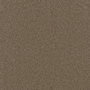 Added Value - Engage - Brown 24 oz. SD Polyester Texture Installed Carpet