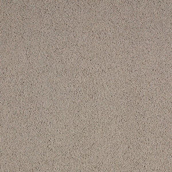 Lifeproof with Petproof Technology Cleoford Explorer Brown 47 oz. Triexta Texture Installed Carpet