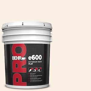 5 gal. #PWN-14 Chenille White Flat Exterior Paint