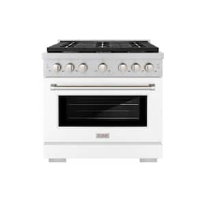 Paramount 36 in. 6-Burner Dual Fuel Range with Convection Oven in Stainless Steel and Matte White Door