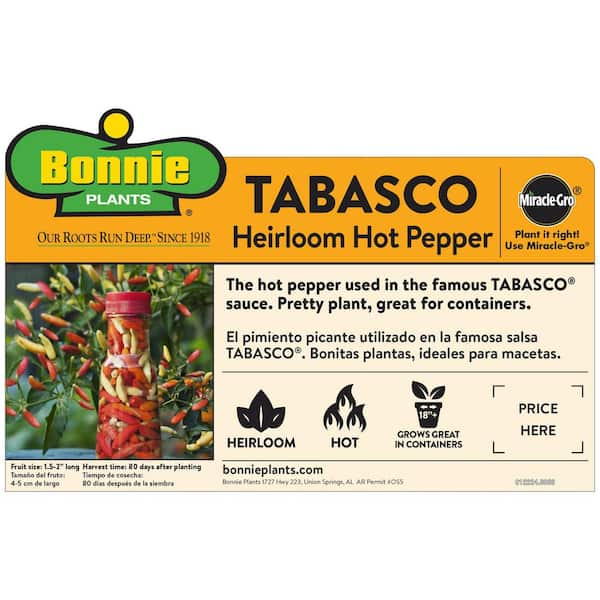 19 oz. Tobasco Hot Pepper Plant
