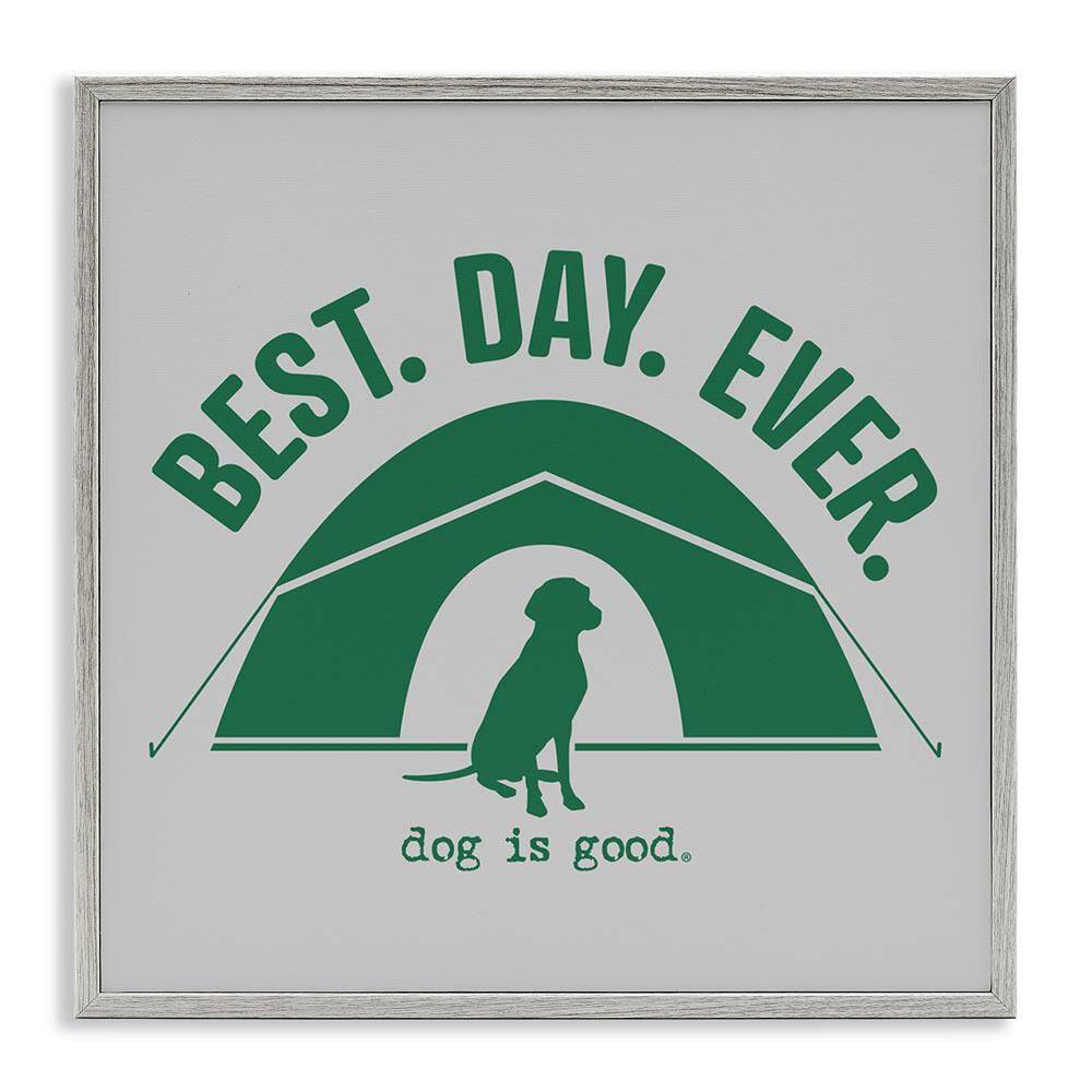Best Day Camping Dog by Dog Is Good Gray Framed Animal Giclee Art Print 12 in. x 12 in. price history on PriceWatchPro