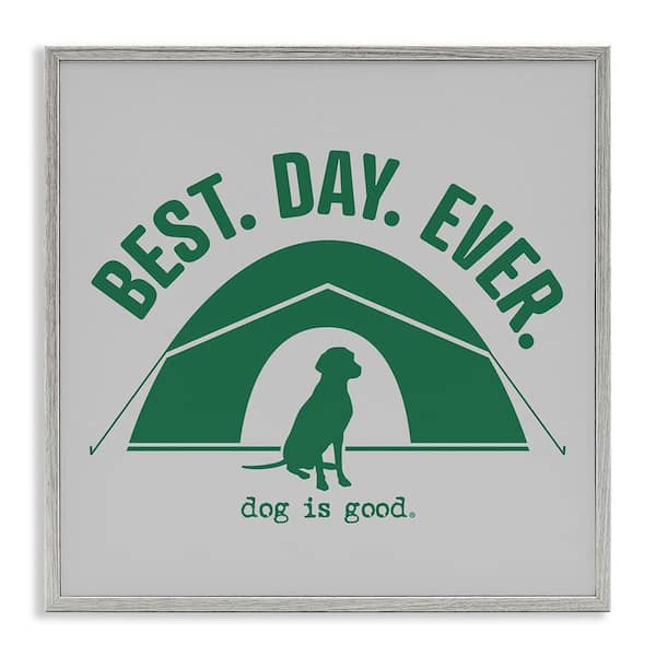 Stupell Industries Best Day Camping Dog by Dog Is Good Gray Framed Animal Giclee Art Print 12 in. x 12 in.