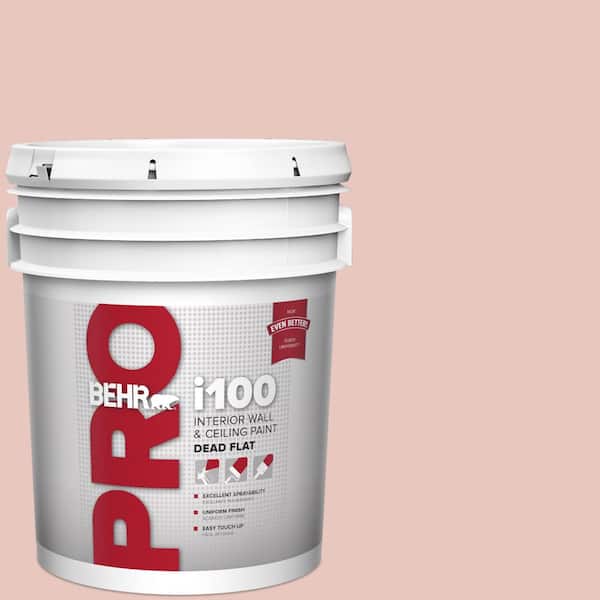 BEHR PRO 5 gal. #S160-1 Iced Cherry Dead Flat Interior Paint