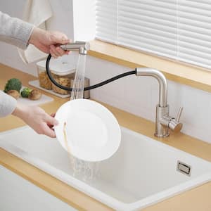 2-Spray Patterns Single Handle Pull Down Sprayer Kitchen Faucet with Water Supply Hoses in Brushed Nickel