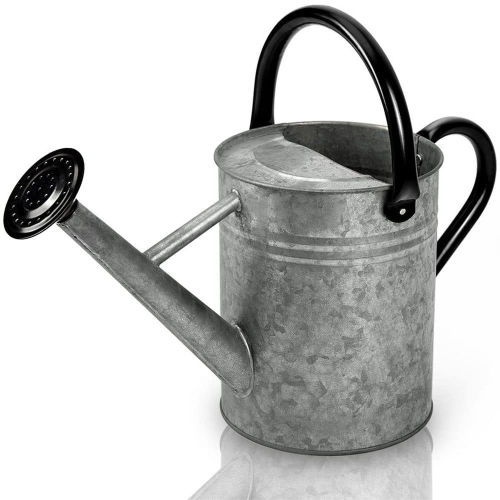 1 Gal. Galvanized Steel Watering Pot for Outdoor Plants with Removable Spra
