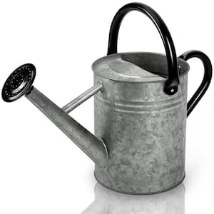 1 Gal. Galvanized Steel Watering Pot for Outdoor Plants with Removable Spray Spout in Vintage Zinc