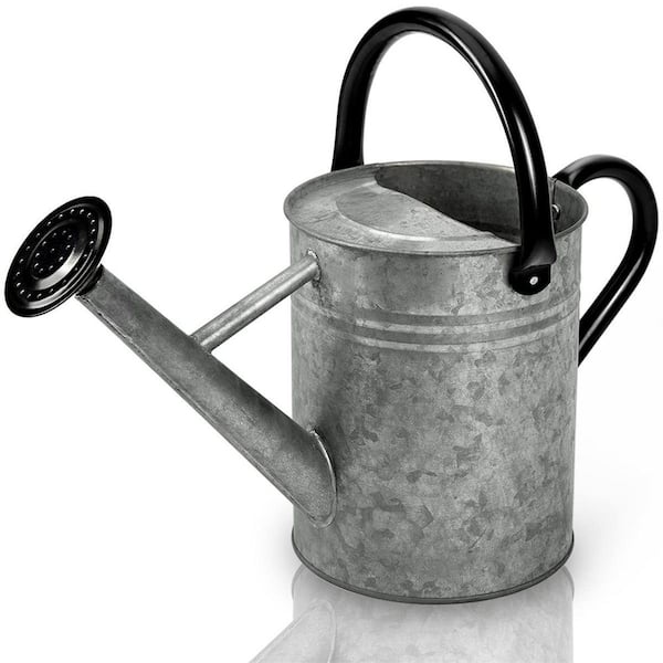 Dyiom 1 Gal. Galvanized Steel Watering Pot for Outdoor Plants with Removable Spray Spout in Vintage Zinc