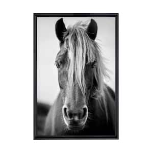 Black and White Wild Horse Framed Canvas Wall Art - 12 in. x 18 in. Size, by Kelly Merkur 1-pc Black Frame
