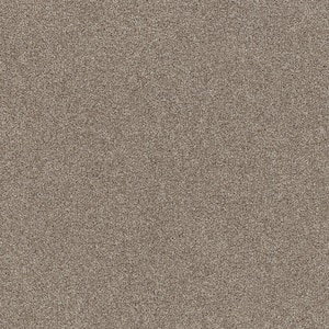 Vacation Seashell Brown 42 oz. SD High Performance Polyester Texture Installed Carpet