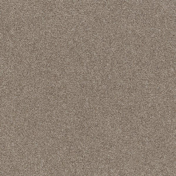 Vacation Seashell Brown 42 oz. SD High Performance Polyester Texture Carpet - Installation Required