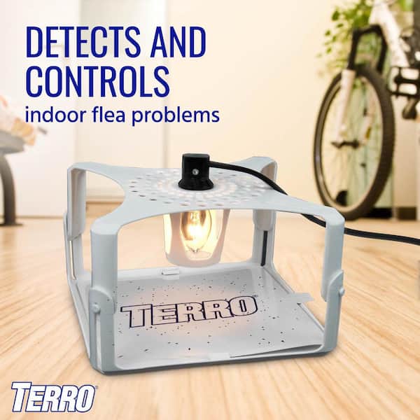 TERRO Non-Toxic Indoor Pantry Moth Trap (2-Count) T2900 - The Home Depot