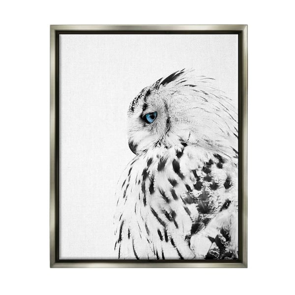 Wall Mural White feather - Animals - Wall Murals