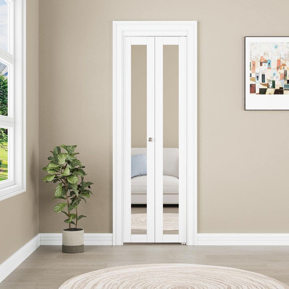 24 X 80 Closet Door