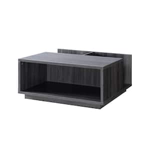 Mariana 36 in. Gray Square Wood Coffee Table with Shelves, and Storage