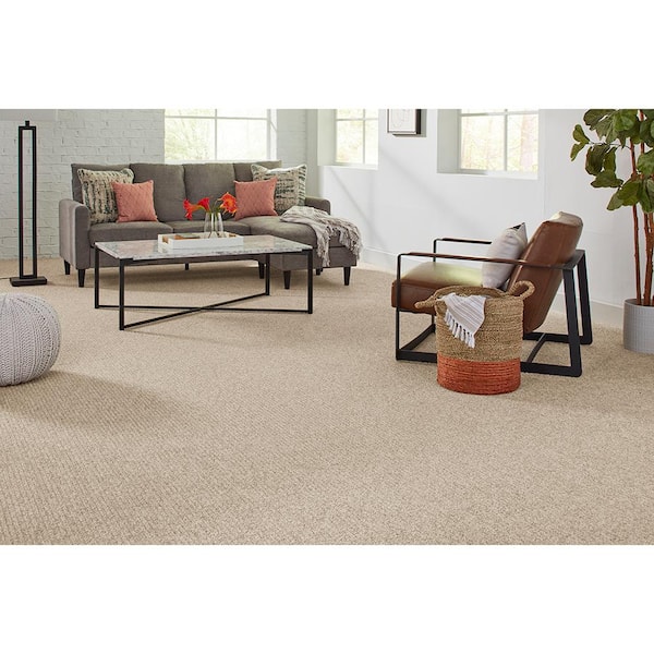 Finton  - Nomad - Brown 24 oz. SD Polyester Loop Installed Carpet