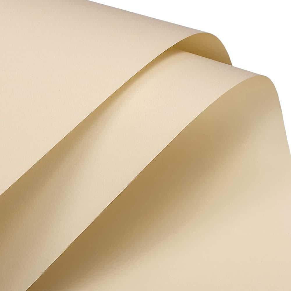 22.8 x 22.8 in. Waterproof Pearlescent Flower Wrapping Paper for Bouquets DIY Crafts Gift Packaging Khaki 10 Piece price history on PriceWatchPro