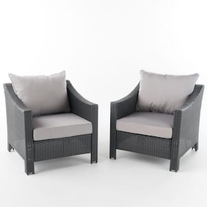 Antibes gray Stationary Faux Rattan Outdoor Patio Lounge Chair with Silver Cushion (2-Pack)