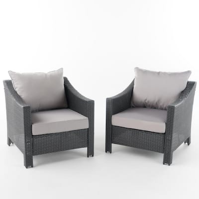 Antibes gray Stationary Plastic Outdoor Lounge Chair with Silver Cushion (2-Pack)