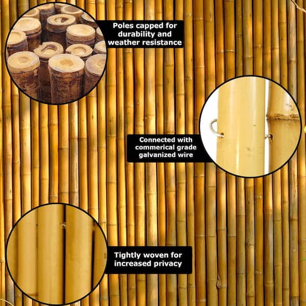 1 D x 72 L Bamboo Poles Natural (25 Poles)
