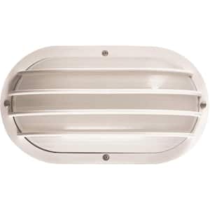 Mini 1-Light White Polycarbonate Outdoor Caged Ceiling Flush Mount/Wall Mount Sconce with Half Oval Sphere