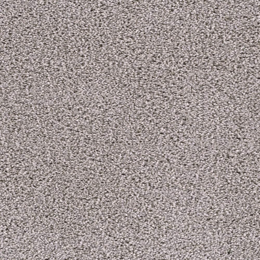 8 in. x  8 in. Texture Carpet Sample - Affectionate I -Color Heartfelt price history on PriceWatchPro