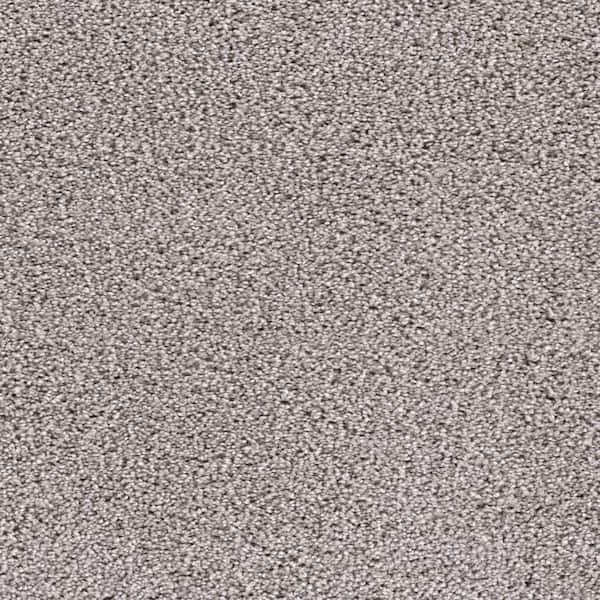 Home Decorators Collection 8 in. x  8 in. Texture Carpet Sample - Affectionate I -Color Heartfelt