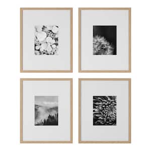 16" x 20" Matted to 8" x 10" Ash Gallery Wall Picture Frame (Set of 4)
