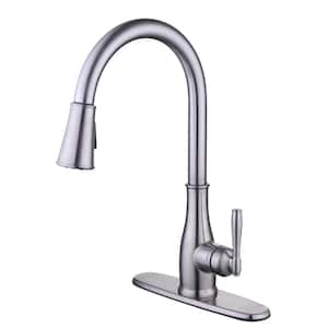 Halwin Single-Handle Pull Down Sprayer Kitchen Faucet in Stainless Steel