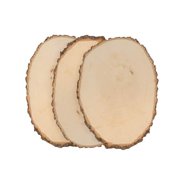 Walnut Hollow 1 in. x 11 in. x 11 in. Basswood Large Round Live Edge Project Panel (3-pack)