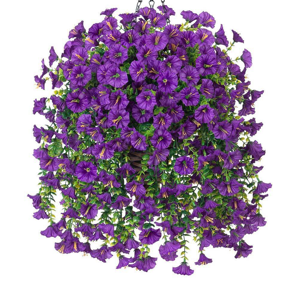 Best HD Pictures about  Home Depot Hanging Flowers  with No AI Images