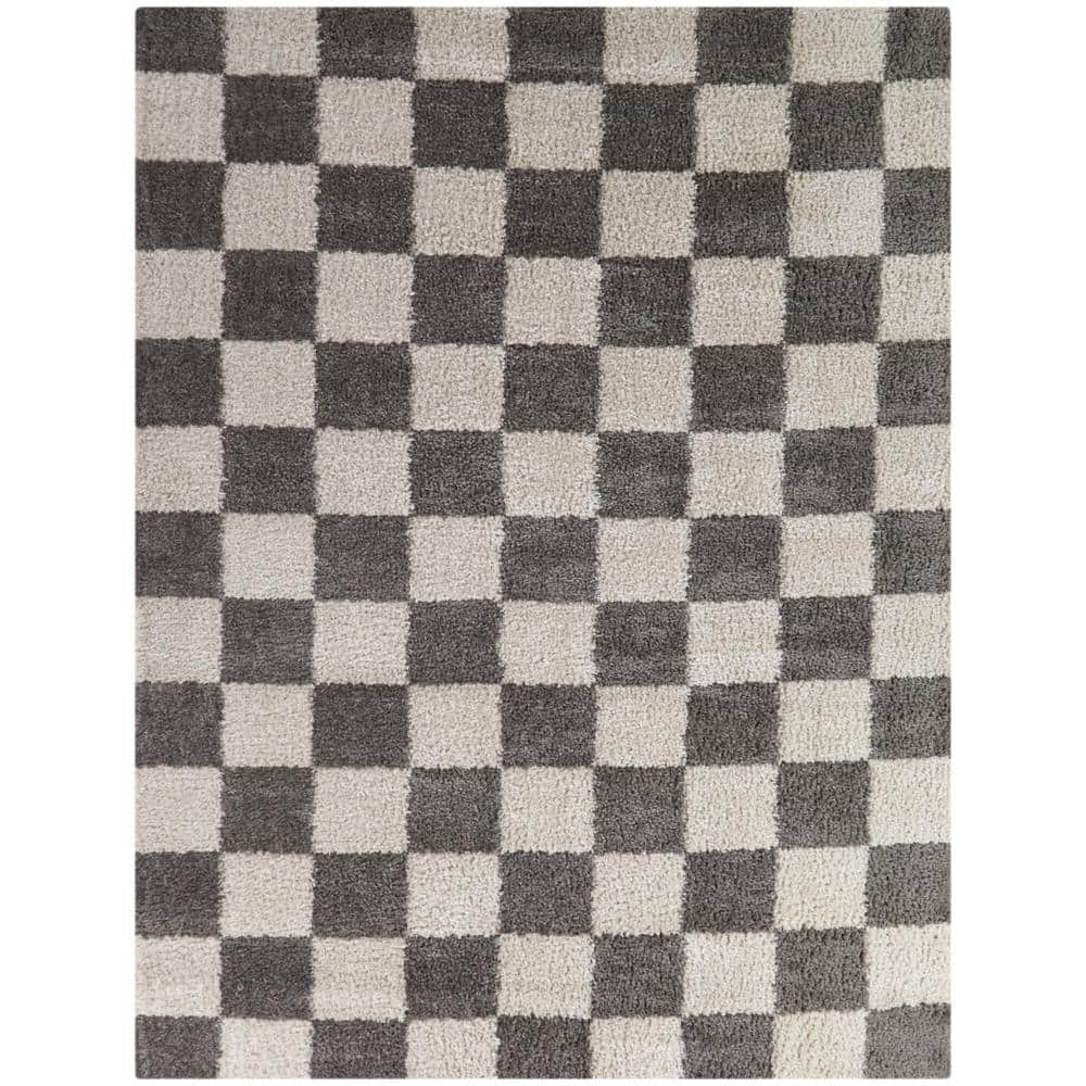 Harley Gray 8 ft. 9 in. x 12 ft. Checkered Area Rug price history on PriceWatchPro