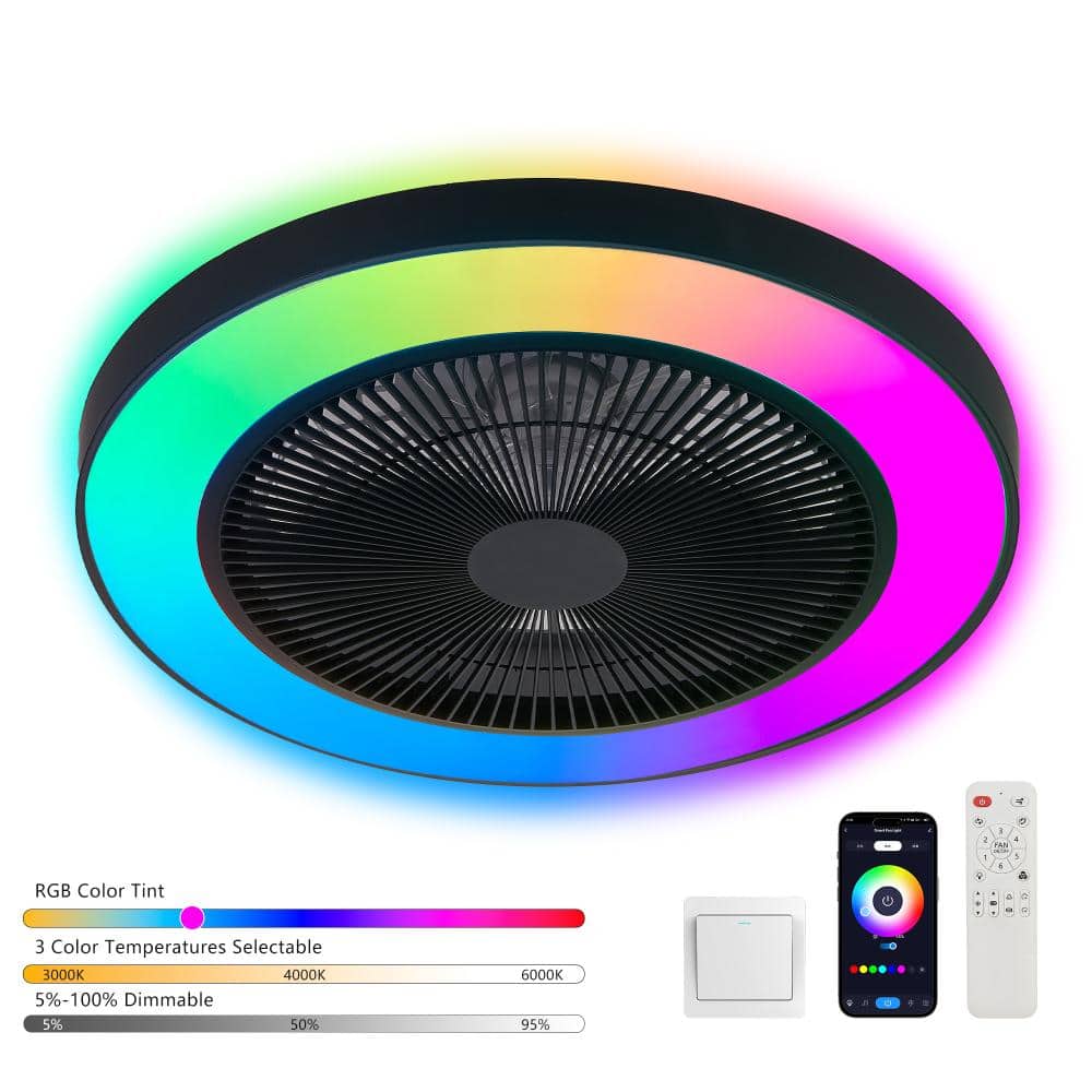 19 in. Black & White Ceiling Fan Light with RGB LED, Dimmable Color-Changing Flush Mount, APP & Remote Control price history on PriceWatchPro