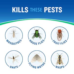 14 oz. Essentials Outdoor Fogger Bug and Mosquito Killer