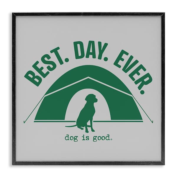 Best Day Camping Dog by Dog Is Good Black Framed Animal Giclee Art Print 12 in. x 12 in.