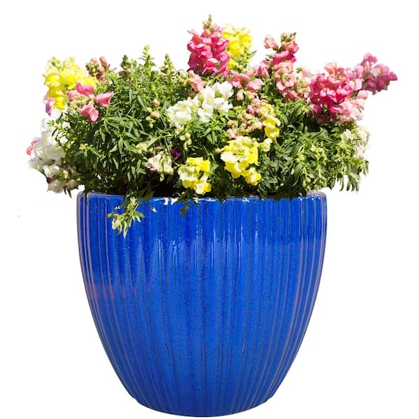 16 in. x 14.2 in. Lennox Ceramic Planter, Cobalt Blue