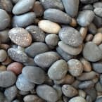 0.25 cu. ft. 20 lbs. 5/8 in. to 7/8 in. Mixed Mexican Beach Pebble