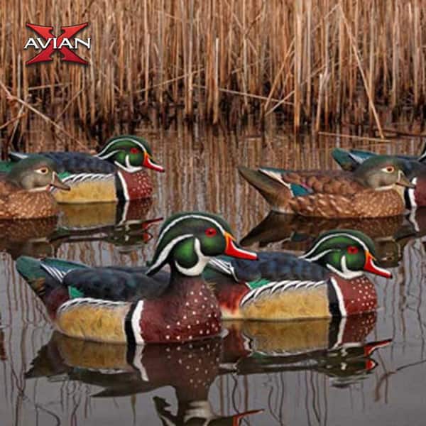 Topflight Wood Ducks, Realistic Floating Decoys, 12-Pack