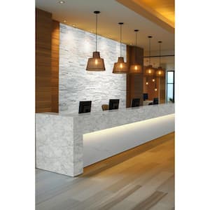 Arctic White Ledger Panel 9 in. x 24 in. Splitface Quartzite Wall Tile (36 cases/162 sq. ft./pallet)