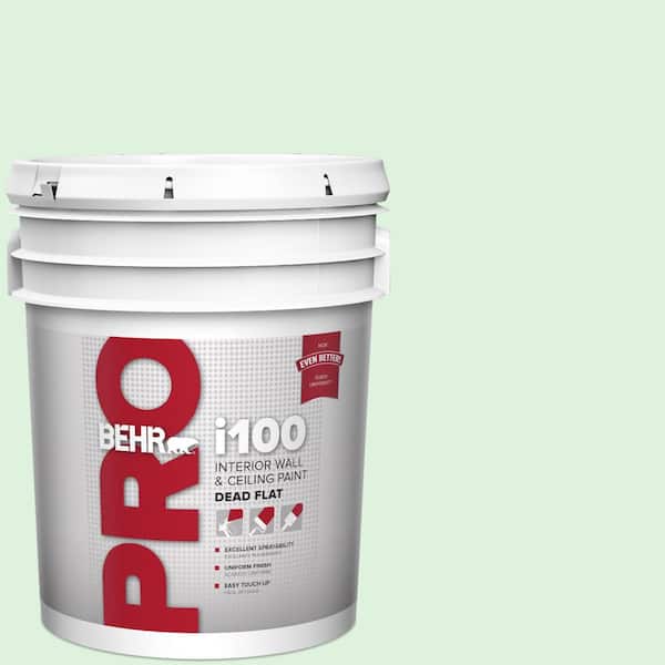 5 gal. #P400-1 Mischievous Dead Flat Interior Paint