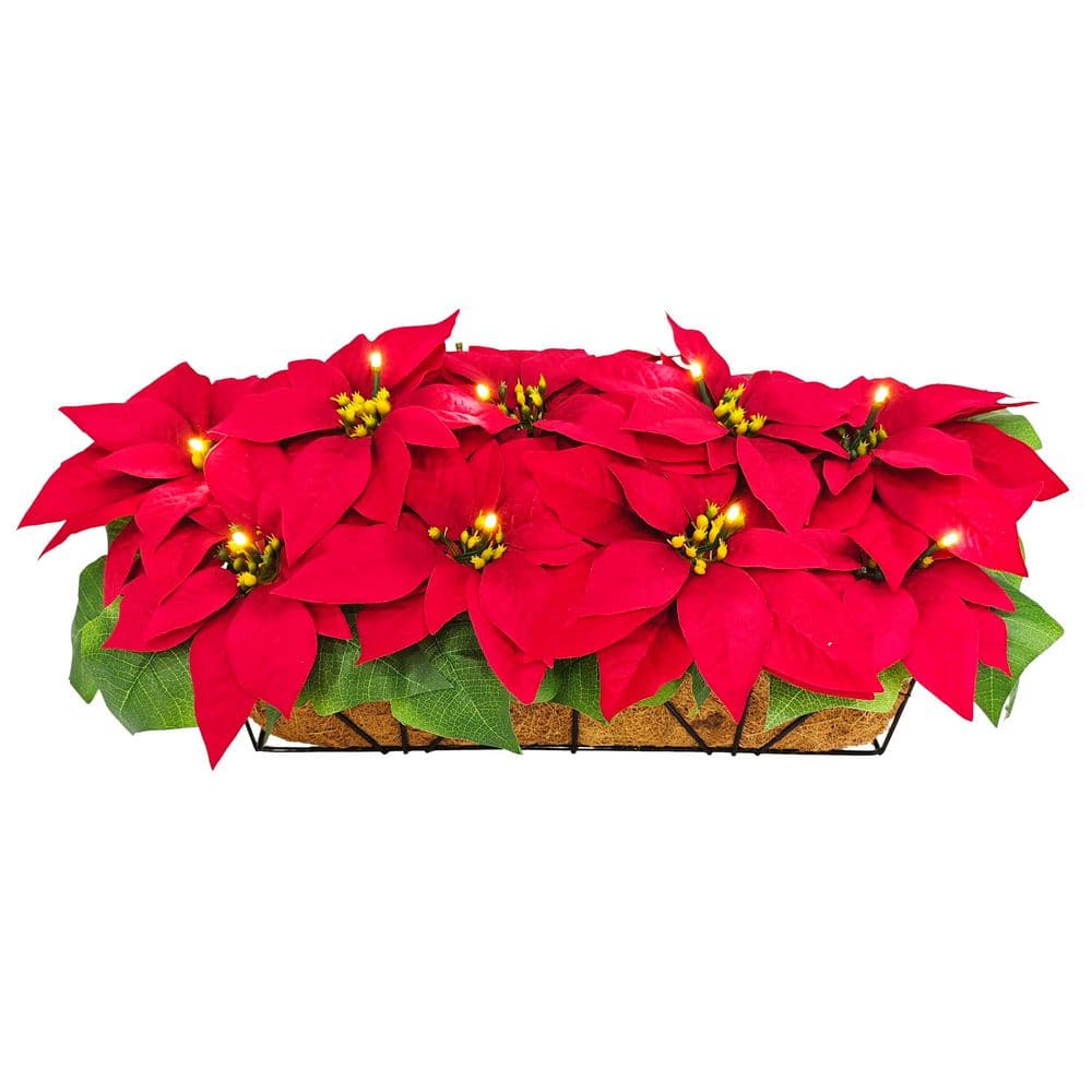 24 in. Pre-Lit Battery-Operated Red Poinsettia Artificial Christmas Window Box Decor Arrangement price history on PriceWatchPro