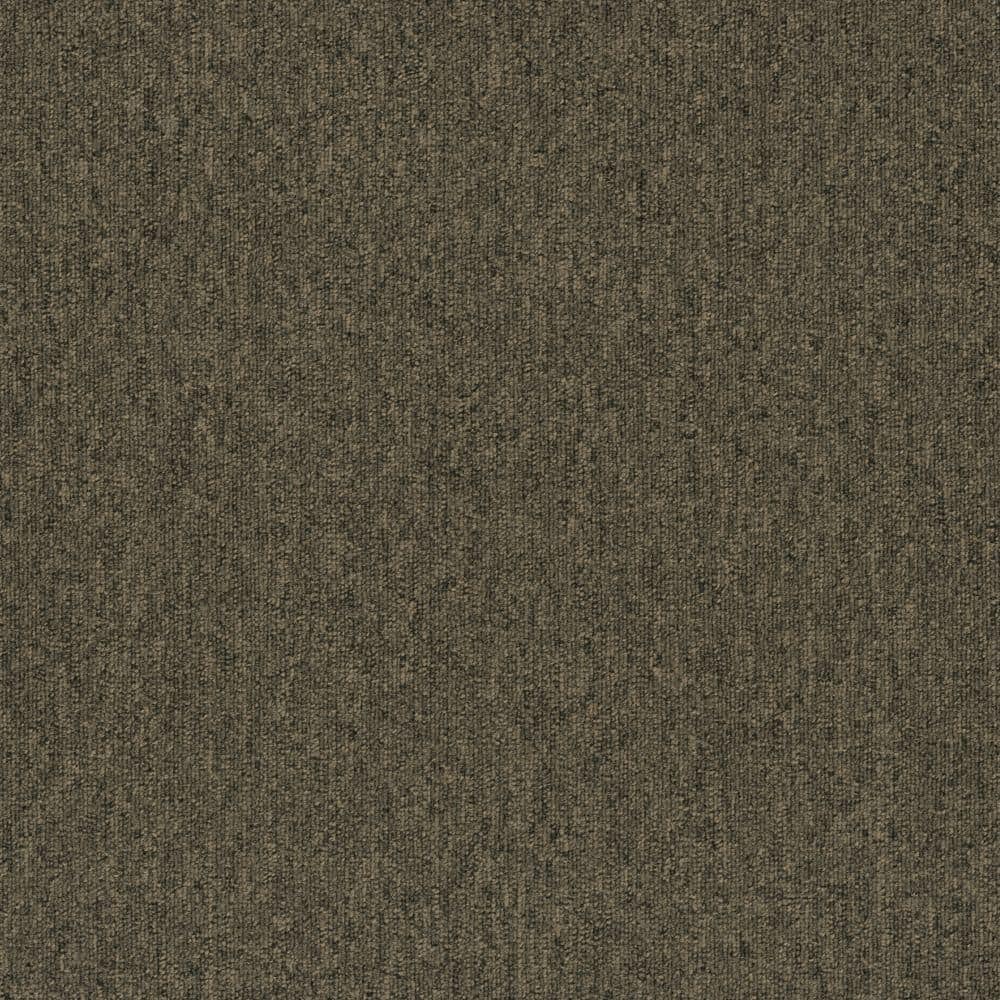 8 in. x 8 in. Loop Carpet Sample - Form Focus Tile - Color Cinder price history on PriceWatchPro