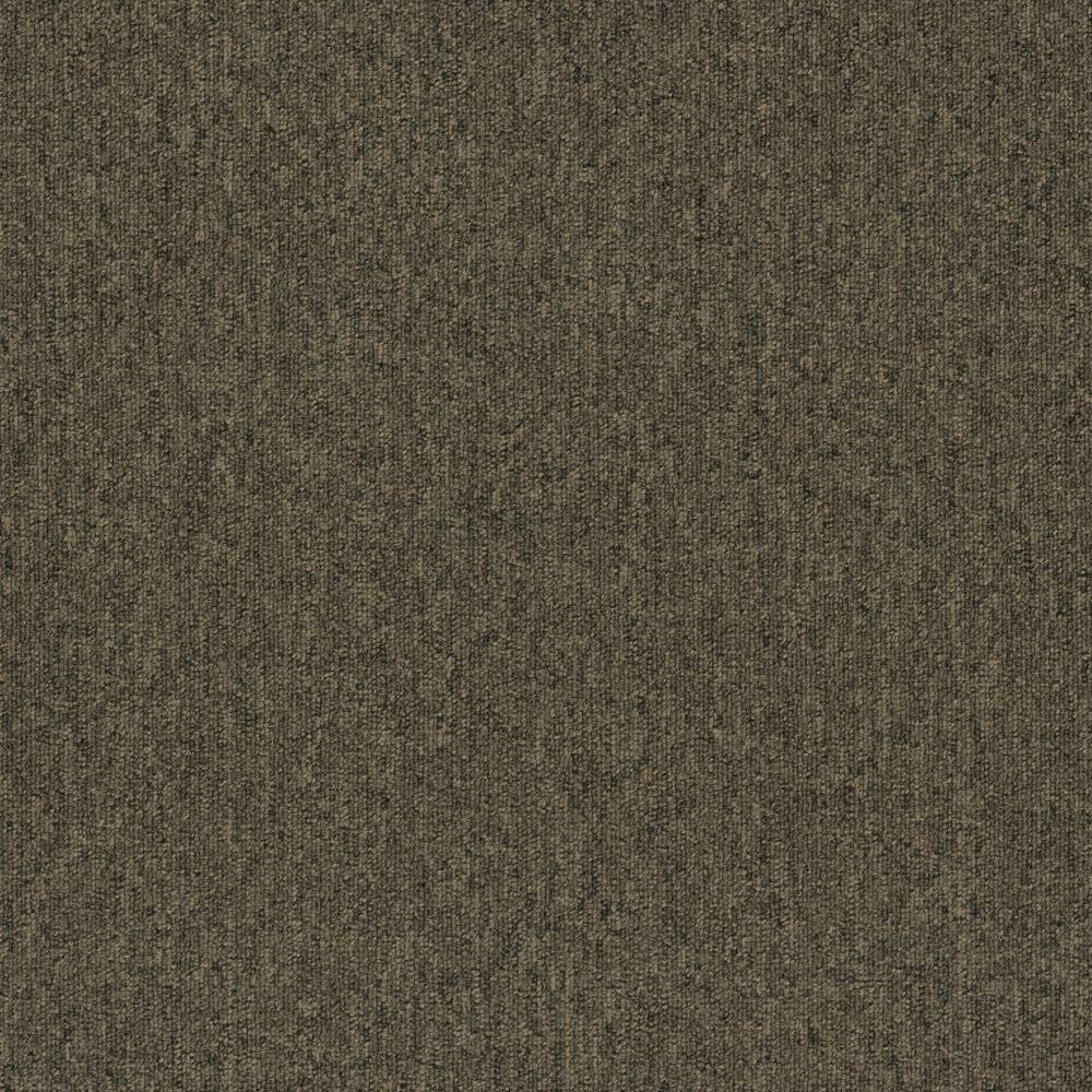 8 in. x 8 in. Loop Carpet Sample - Form Focus 26 - Color Cinder price history on PriceWatchPro