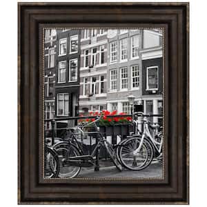 Opening Size 16 in. x 20 in. Stately Bronze Picture Frame