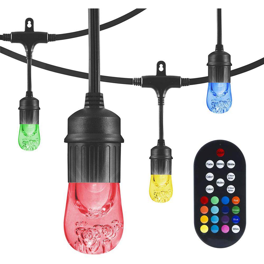 Enbrighten 12 Bulb 24 Ft Outdoor Indoor Classic Color Changing LED 